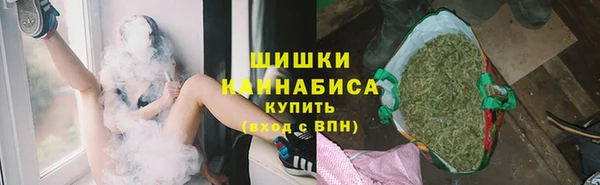 ГАЛЛЮЦИНОГЕННЫЕ ГРИБЫ Надым