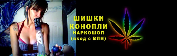 ГАЛЛЮЦИНОГЕННЫЕ ГРИБЫ Надым