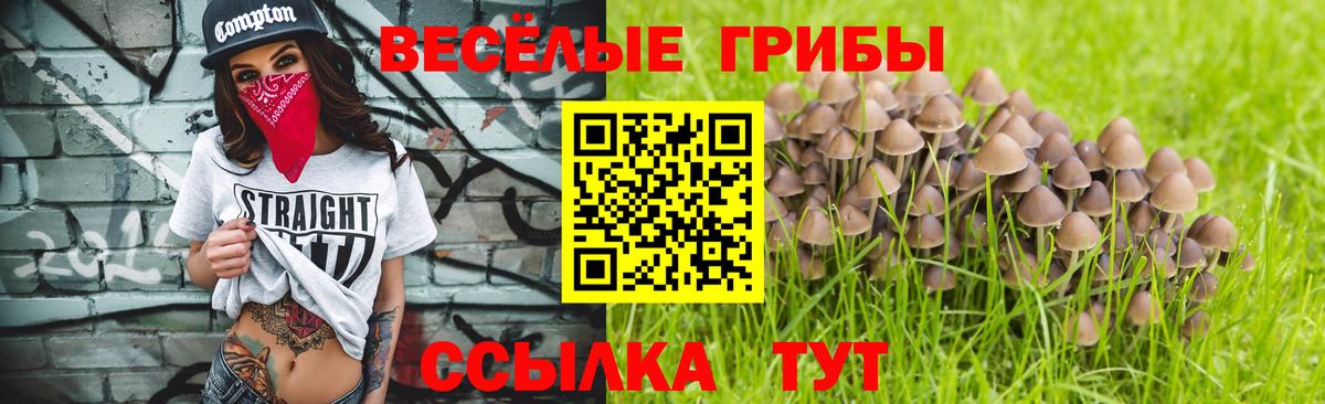 Галлюциногенные грибы GOLDEN TEACHER Первоуральск